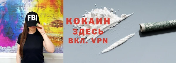 spice Алексин