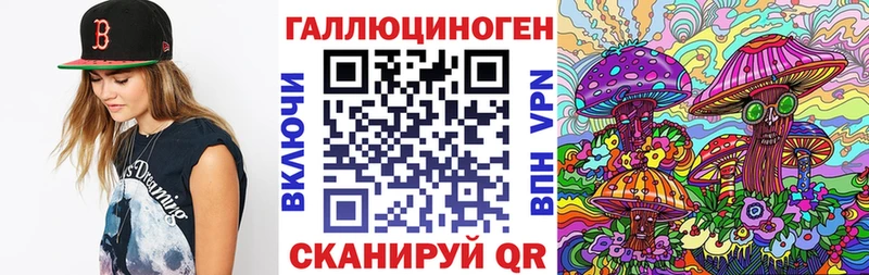 Псилоцибиновые грибы MAGIC MUSHROOMS  где купить наркотик  Алушта 